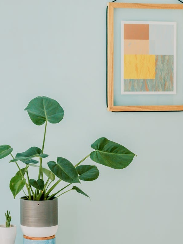 Applique Murale Moderna